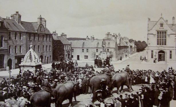 Huntly Page - Elephants come to Huntly