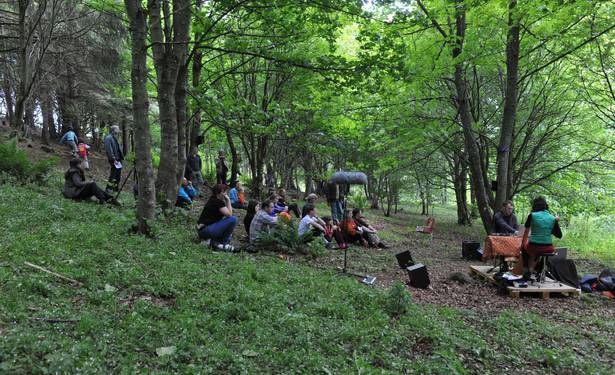 Catriona McKay - Skimmerin performance in the wood