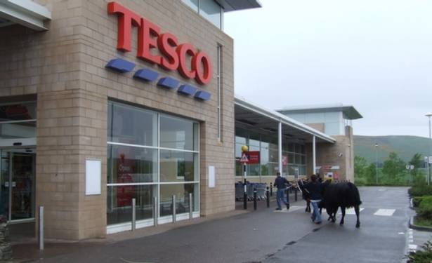 Red Herring Cows at Tesco