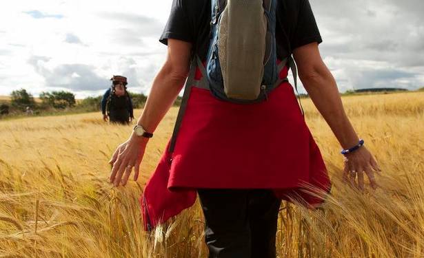 Home Page Walking